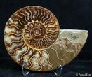Inch Split Ammonite Pair #2631-4